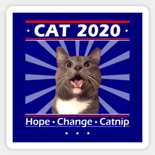Cat for President 2020! Hope Change Catnip! Sticker